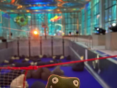 Ein Plüschfrosch schaut in die Kamera