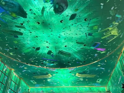 Eine beeindruckende Lichtershow in einer Halle